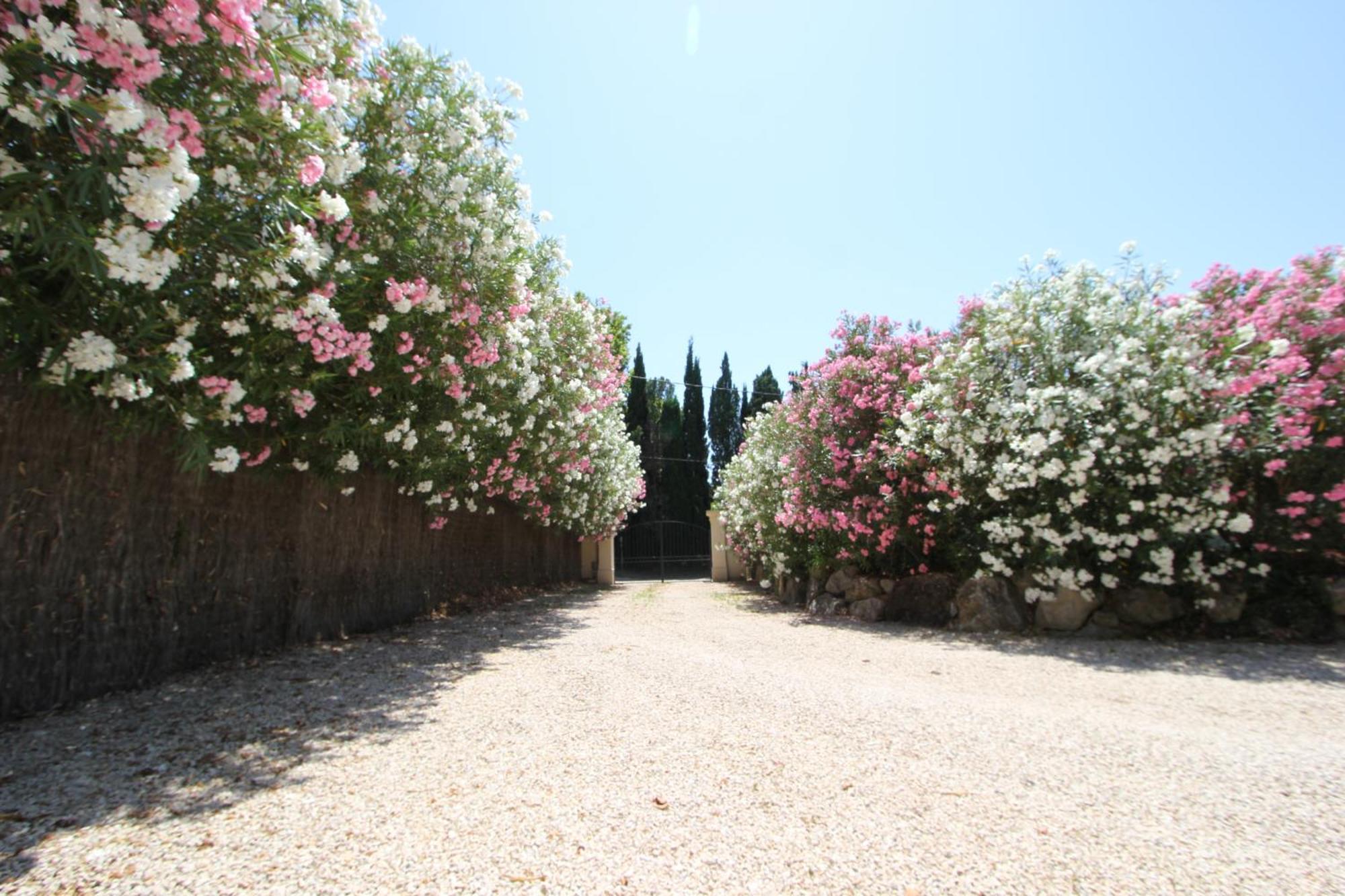 Bed and Breakfast Mas Paloma Rognonas Exterior foto